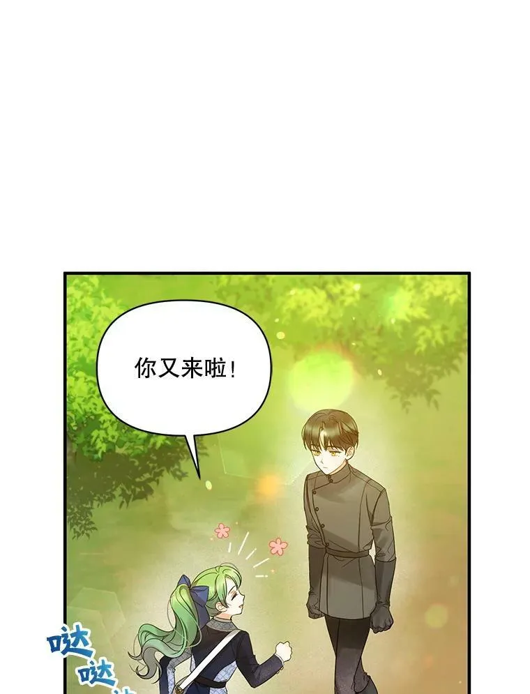 15.野猪突袭25