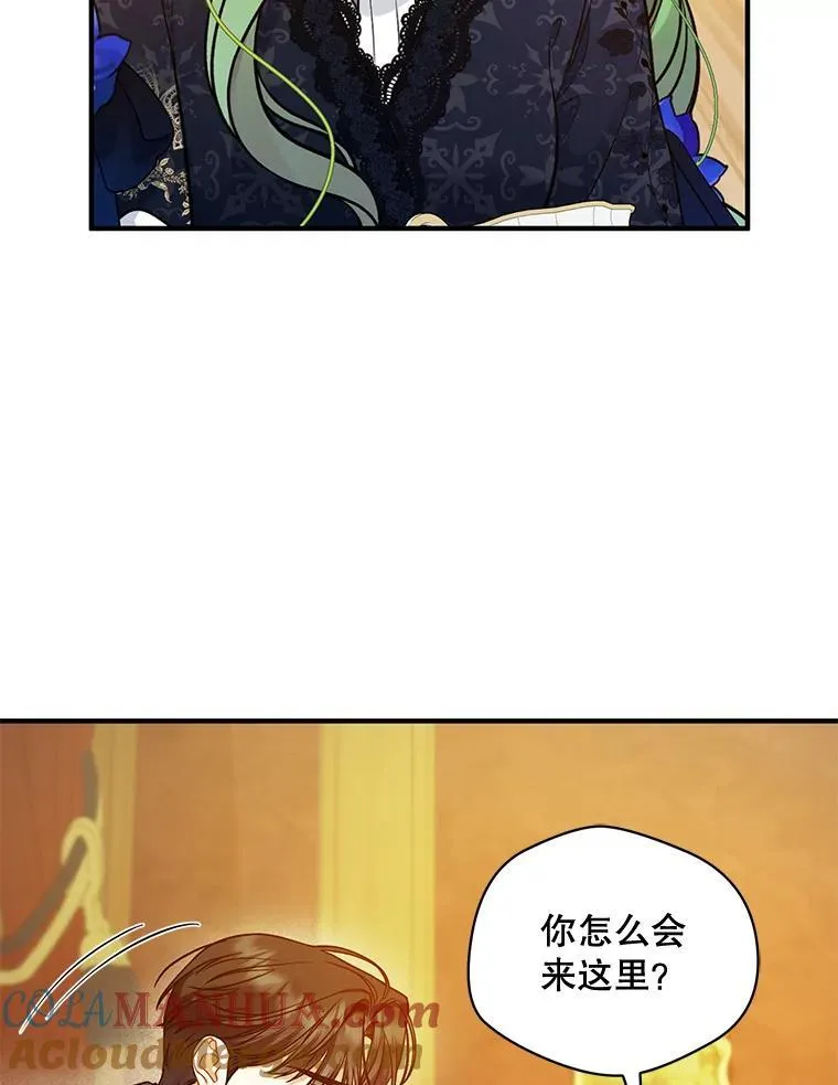 46.偶遇诺尔236
