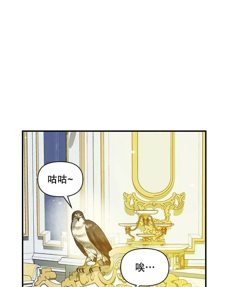 11.兽人86