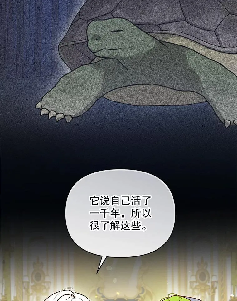 65.诺尔表达心意7