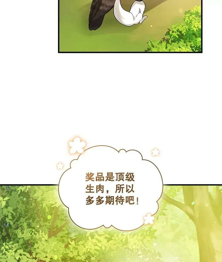 15.野猪突袭13