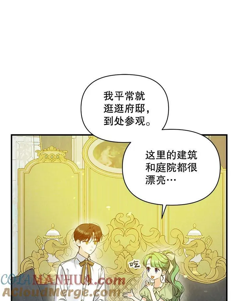 19.手工曲奇78