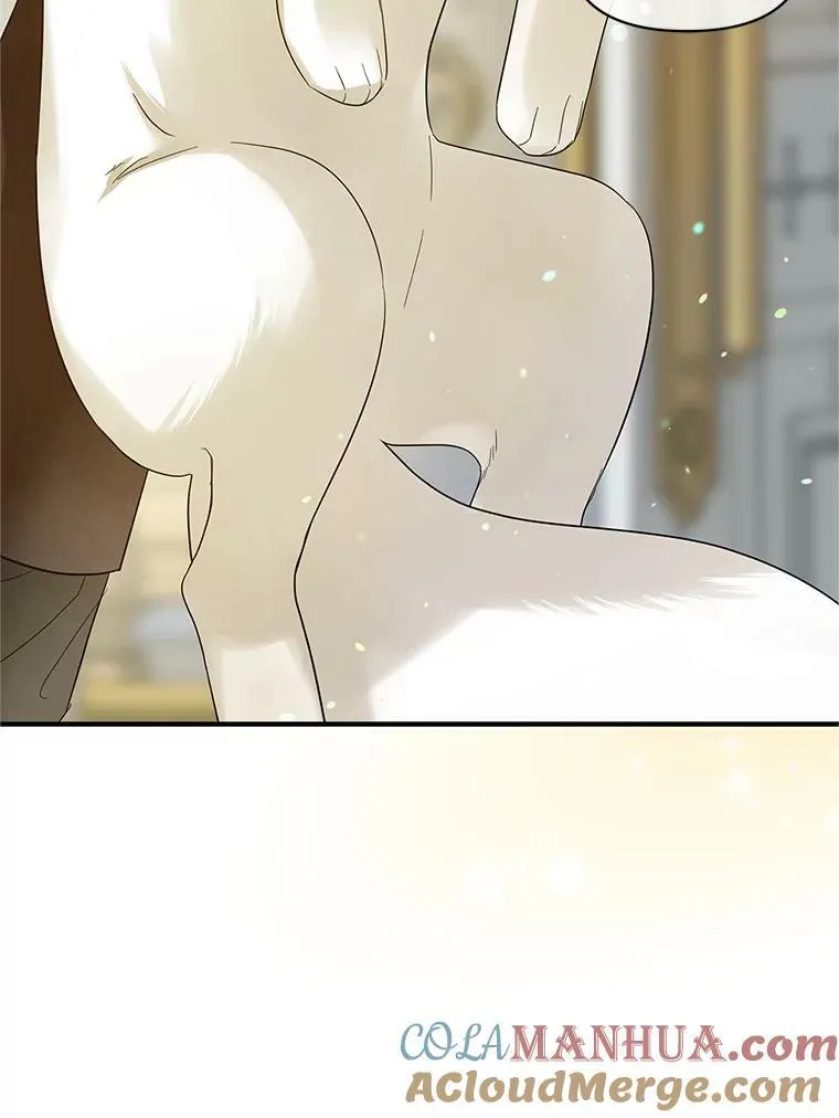 12.攻击40