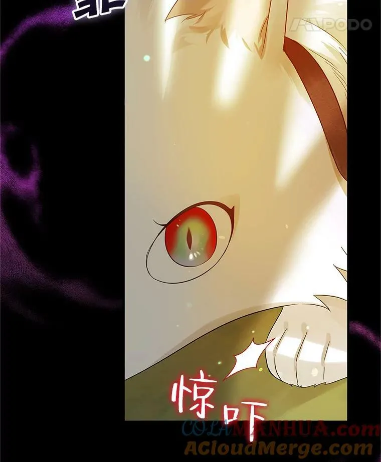 12.攻击28