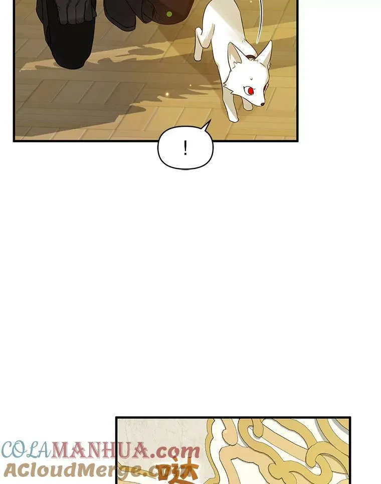 12.攻击48