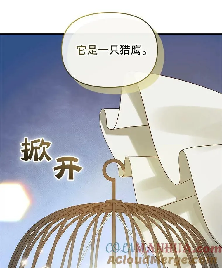11.兽人52