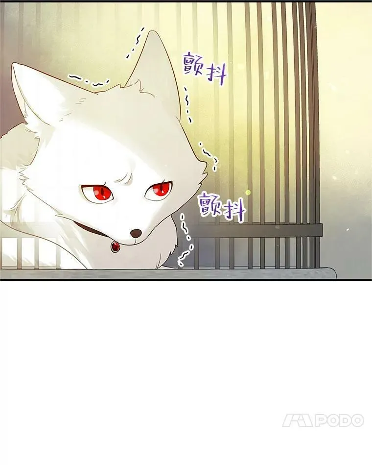 11.兽人37