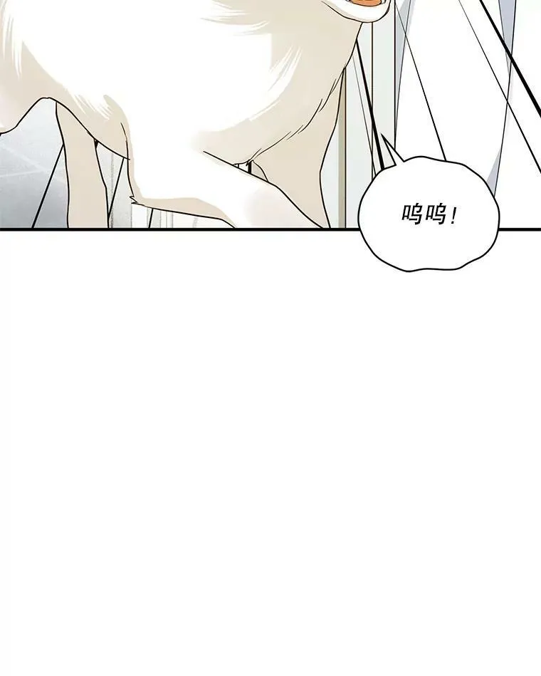31.生病54