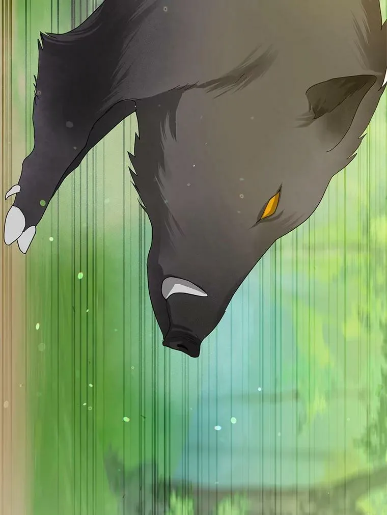 15.野猪突袭85