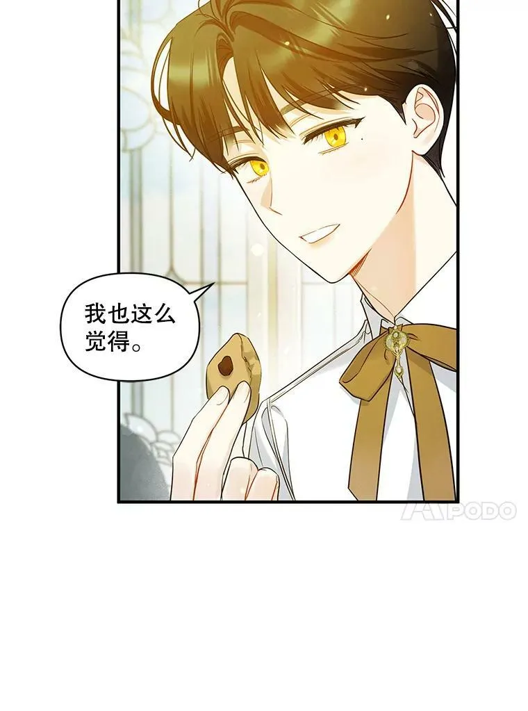 19.手工曲奇56