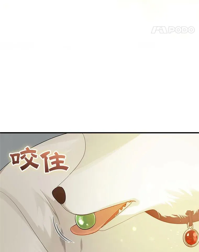 11.兽人99