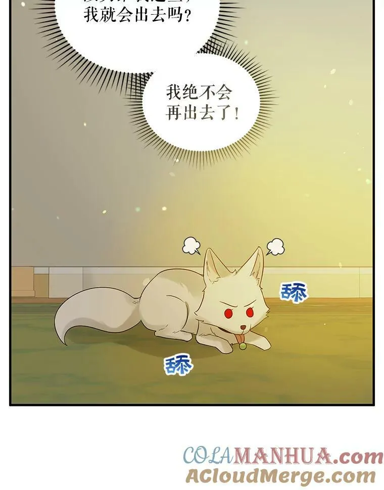 12.攻击84