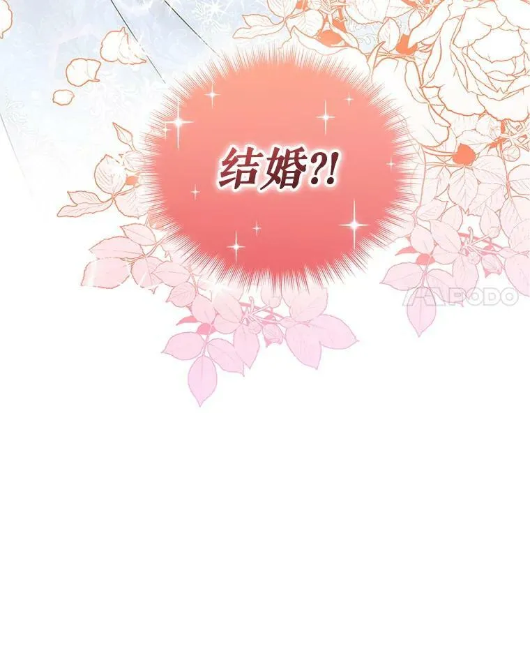22.诺尔登场3