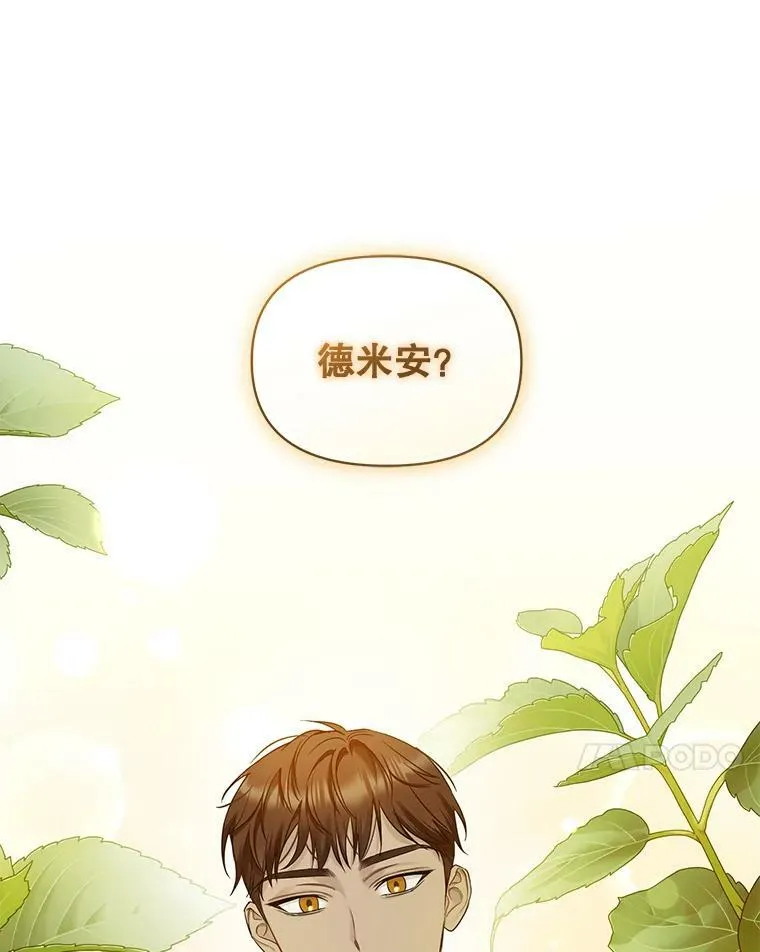 28.重逢41
