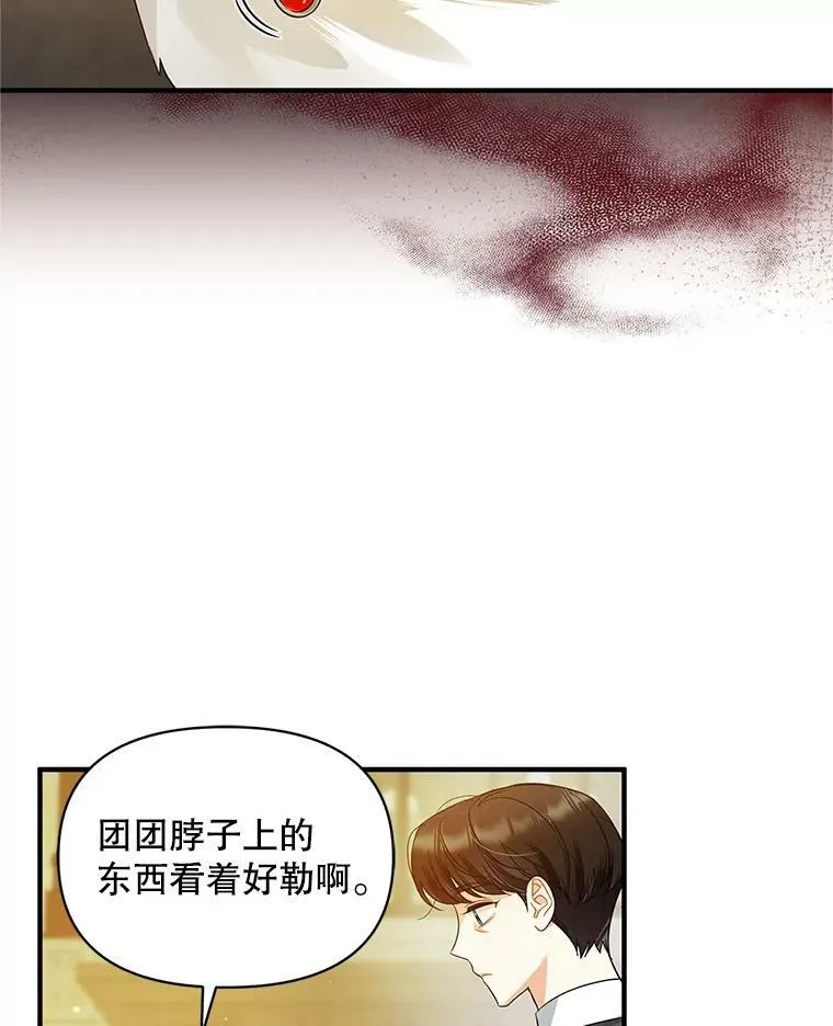 11.兽人61