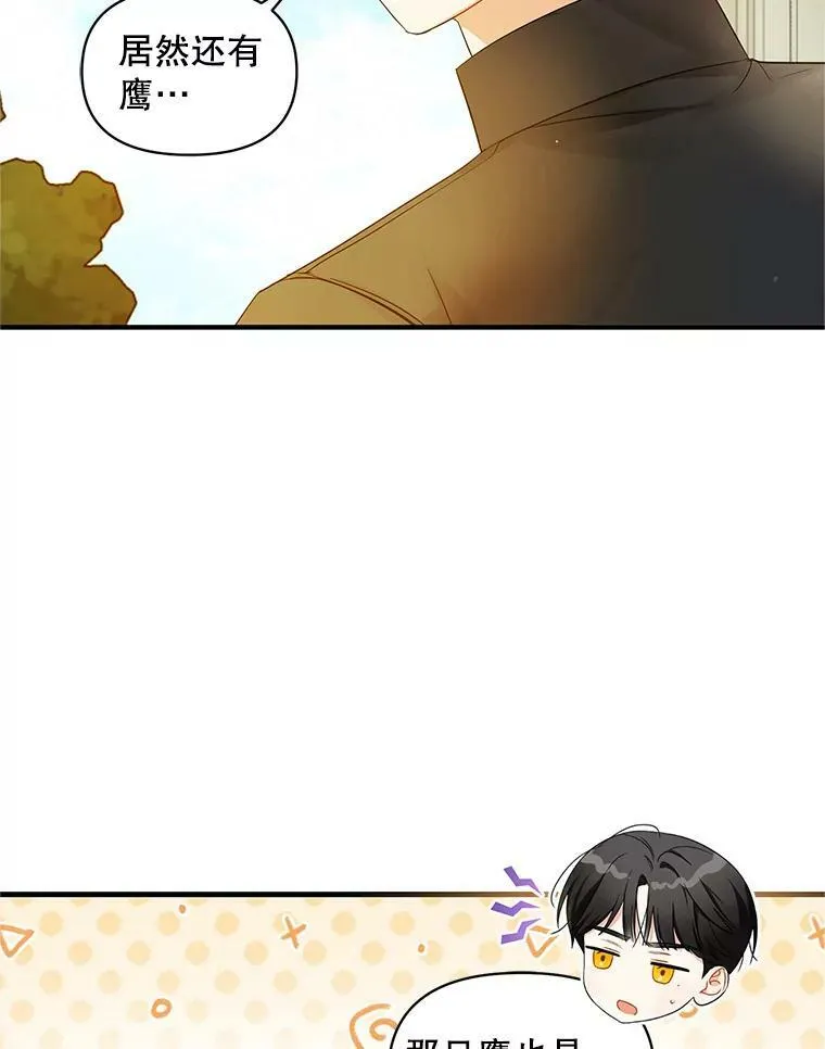 12.攻击45