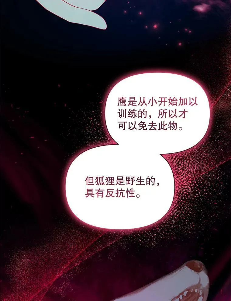 11.兽人66