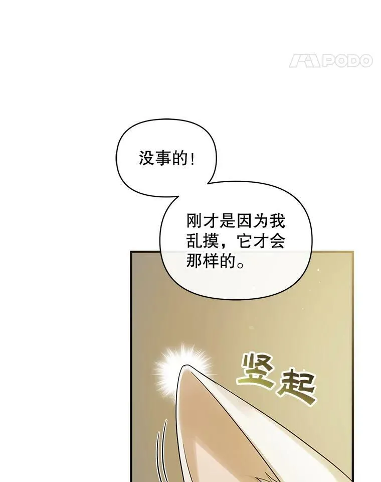 12.攻击75