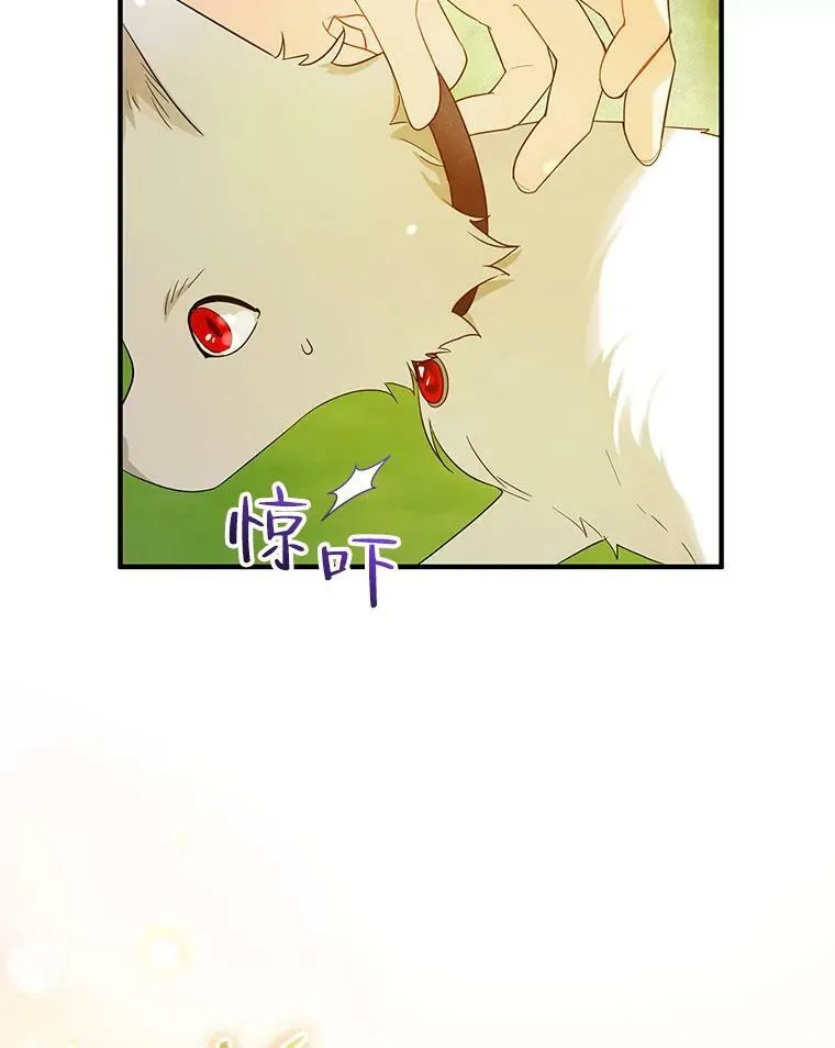 18.与兽人分别39