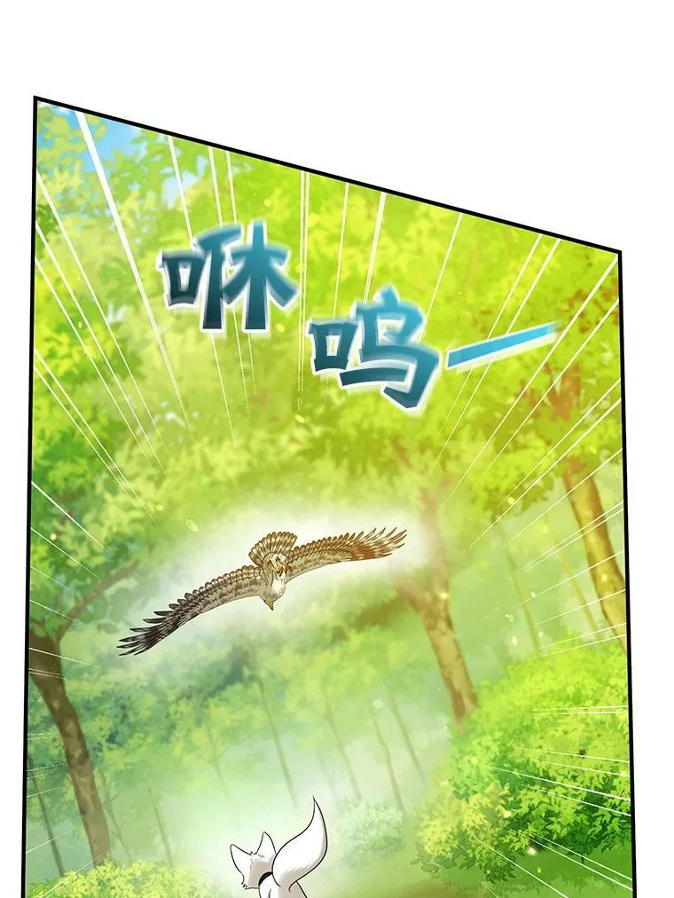 15.野猪突袭19