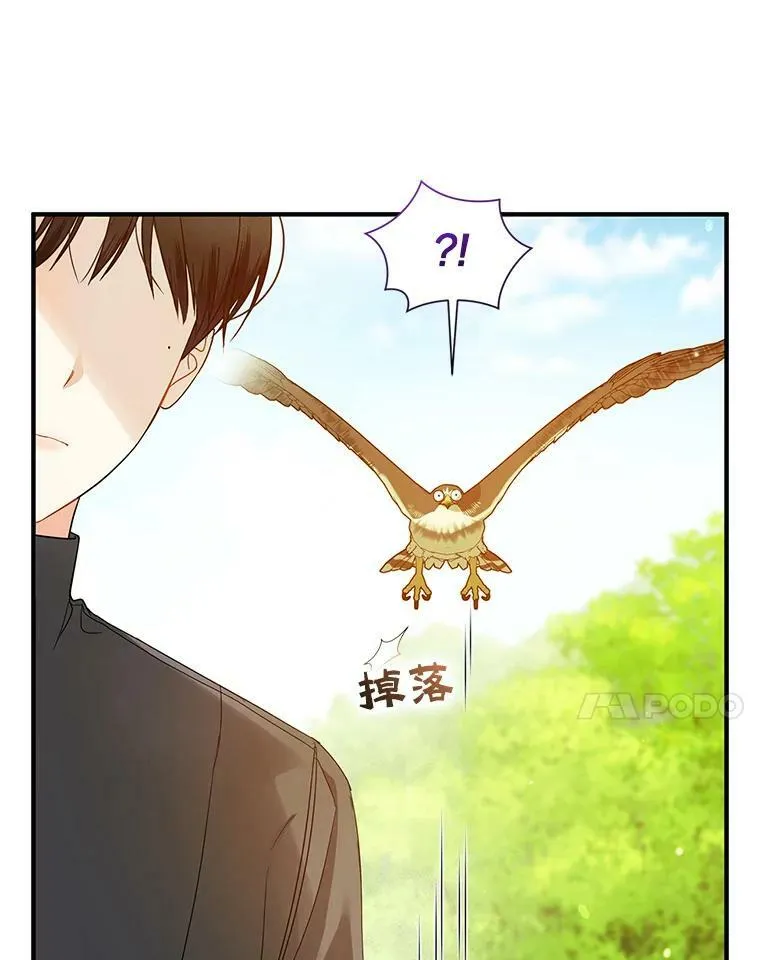 16.危机解除6