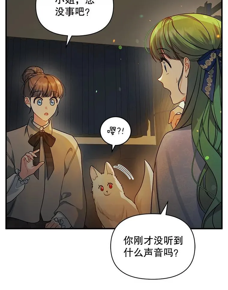 41.礼物22
