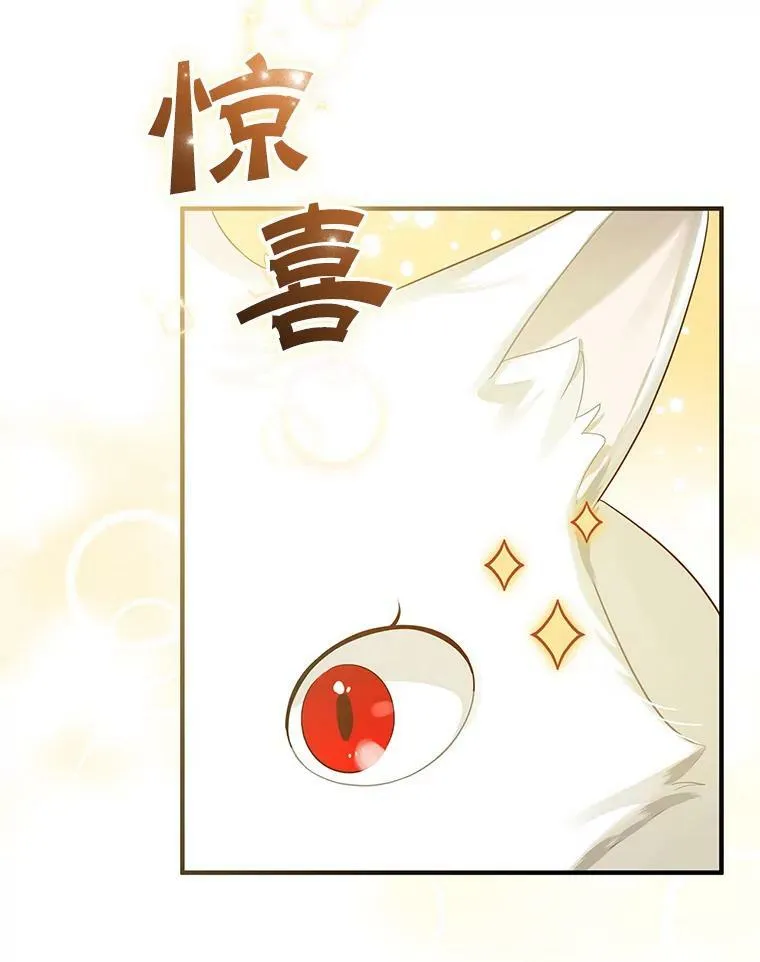 11.兽人98