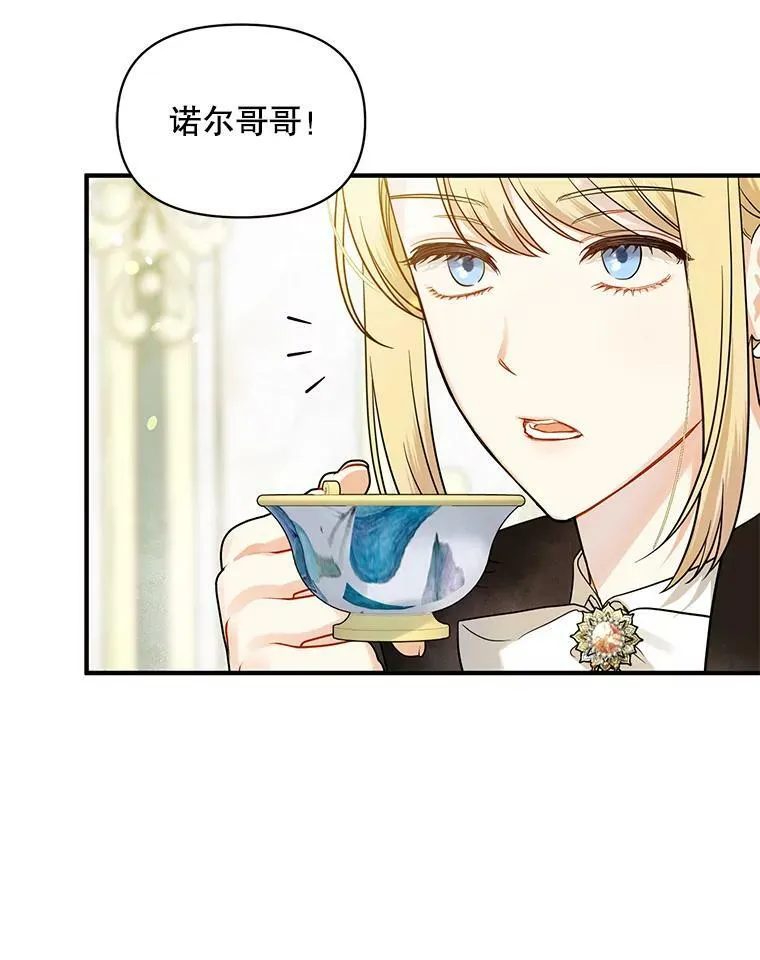32.诺尔的试探42