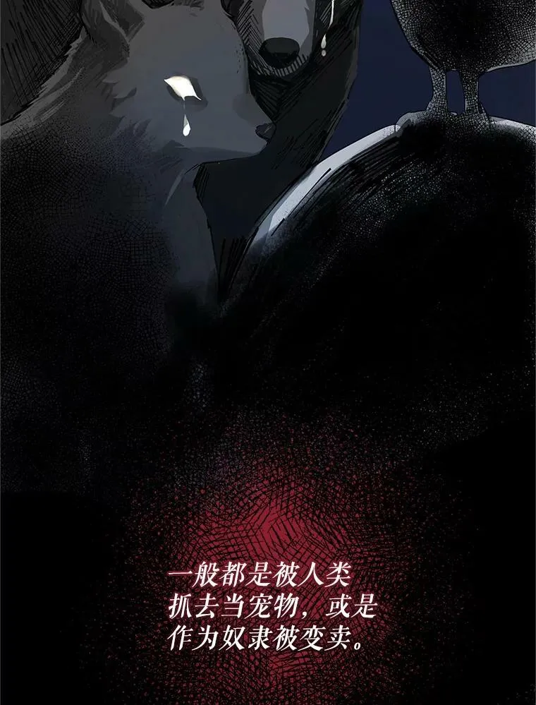 11.兽人13