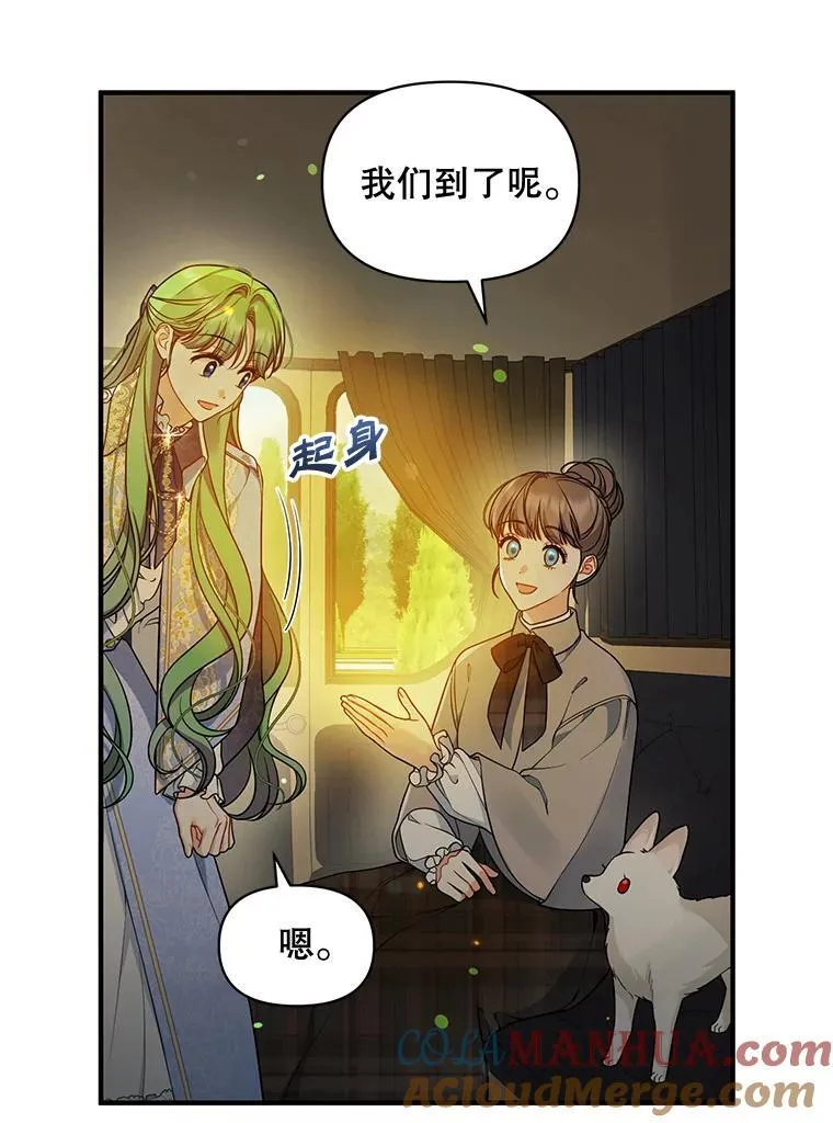 41.礼物36