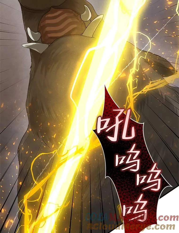 15.野猪突袭104