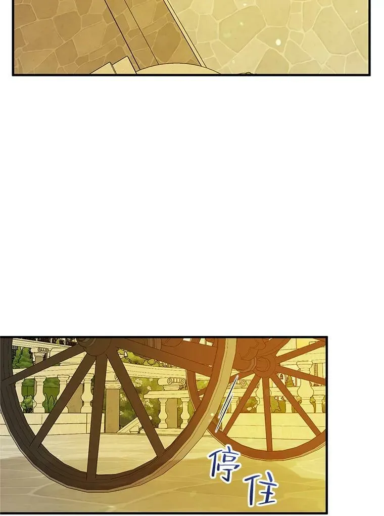 22.诺尔登场15