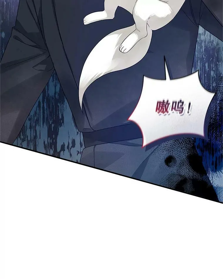 12.攻击13