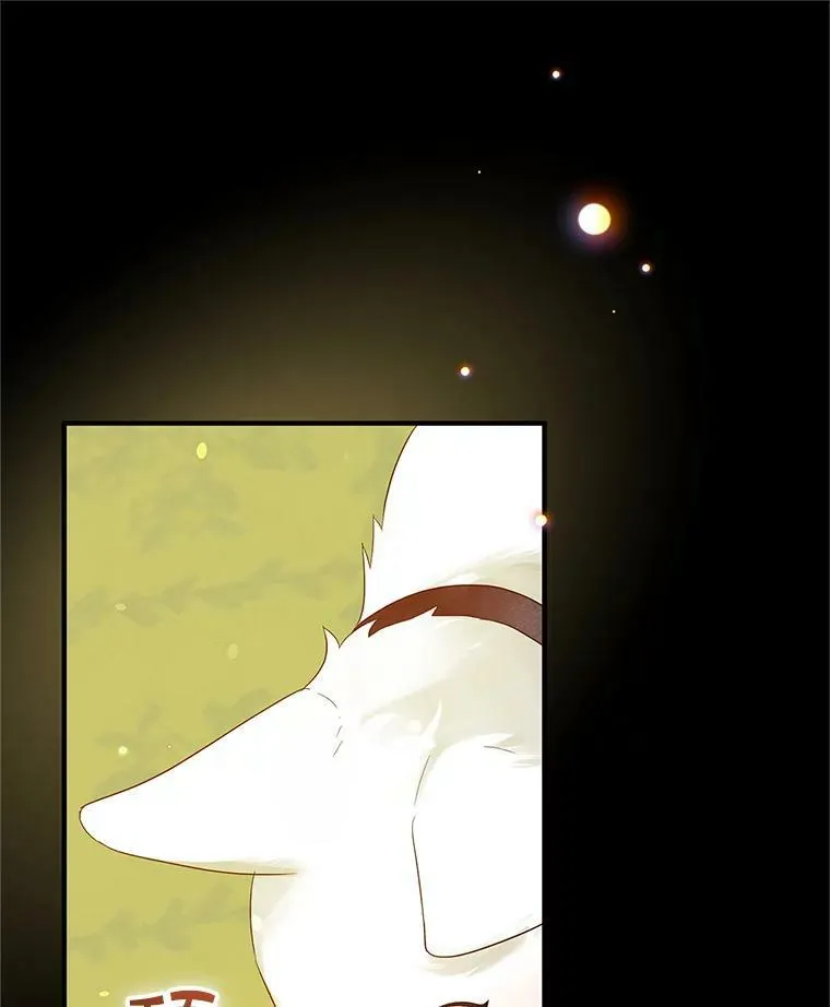 12.攻击26