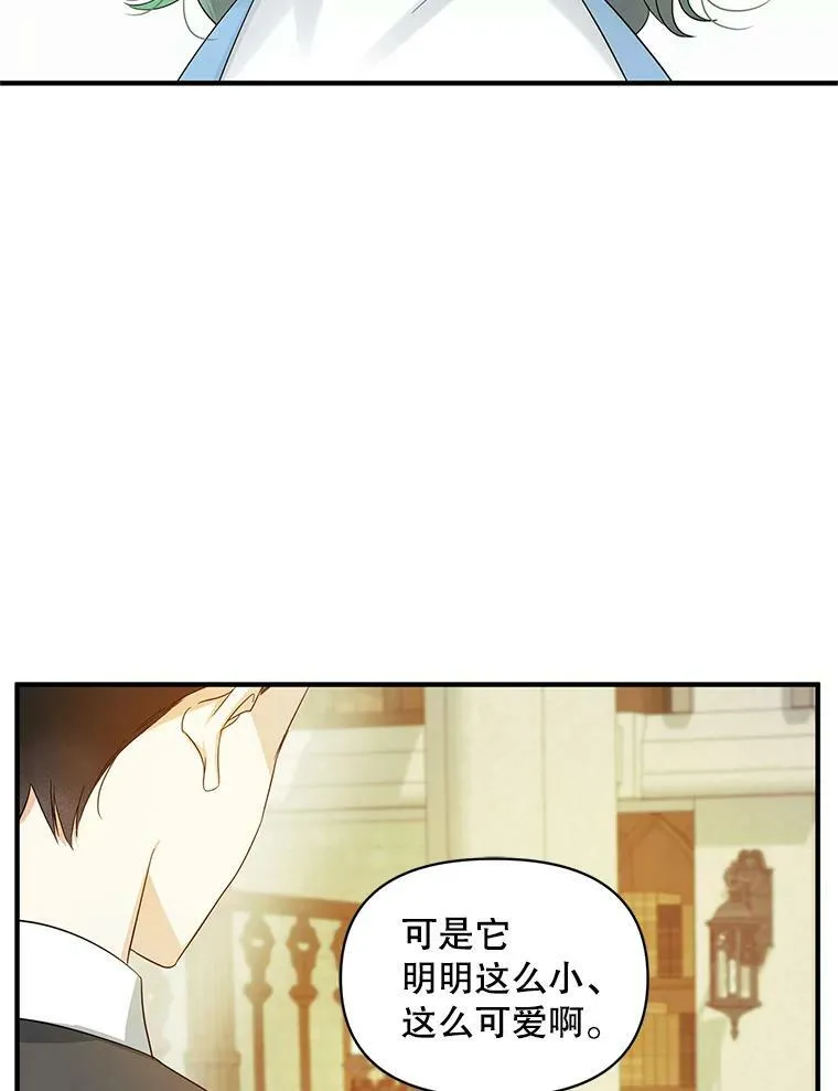 11.兽人70