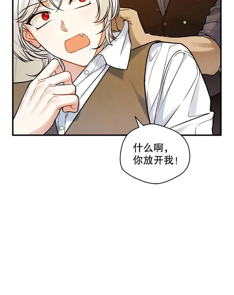 46.偶遇诺尔295