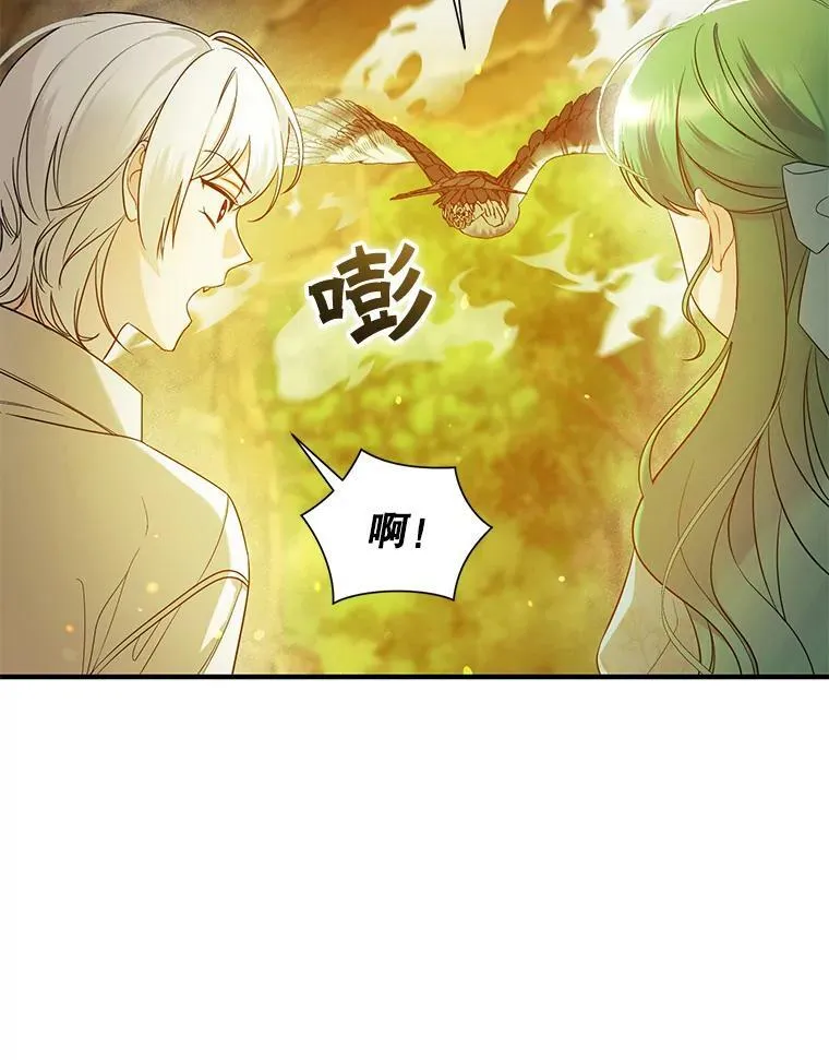 28.重逢53