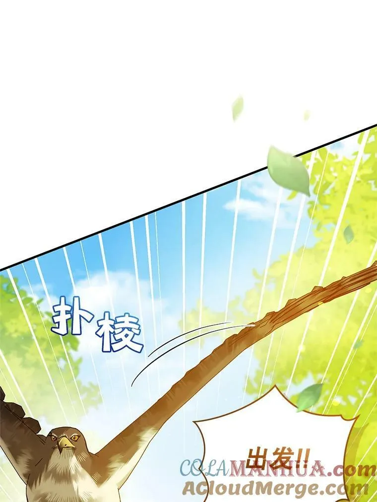 15.野猪突袭16