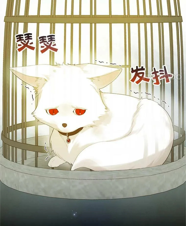 10.练武独处113
