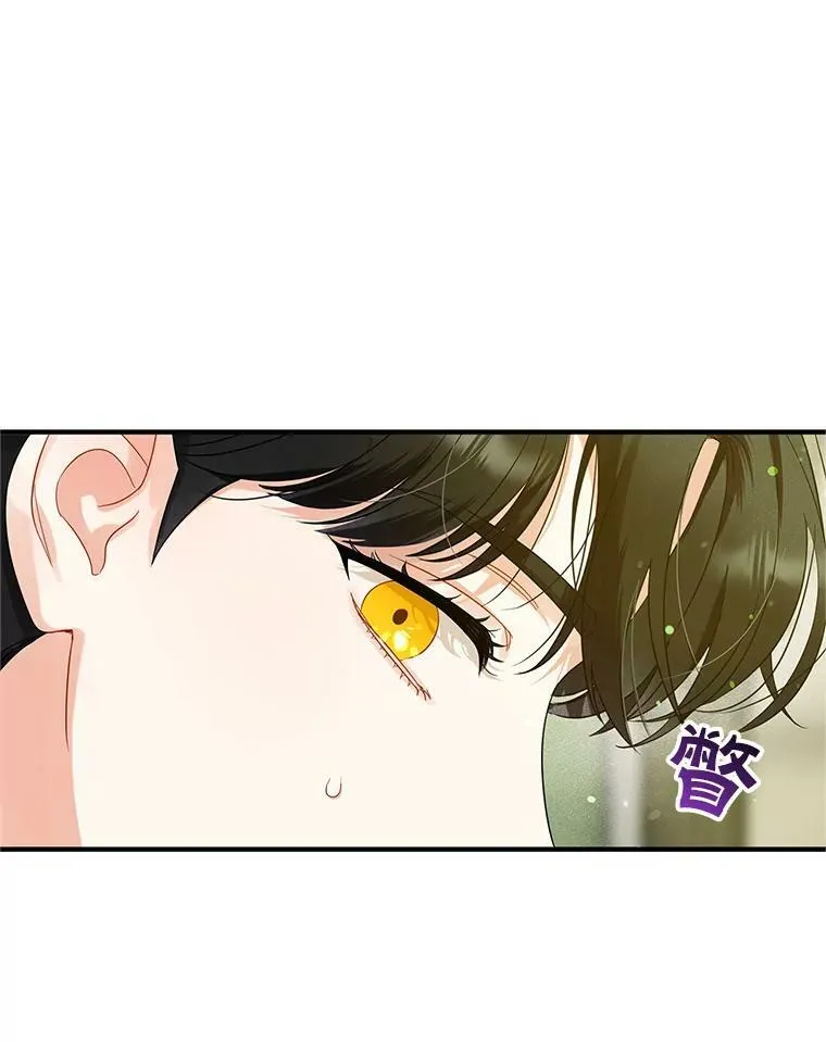 7.公爵夫人101