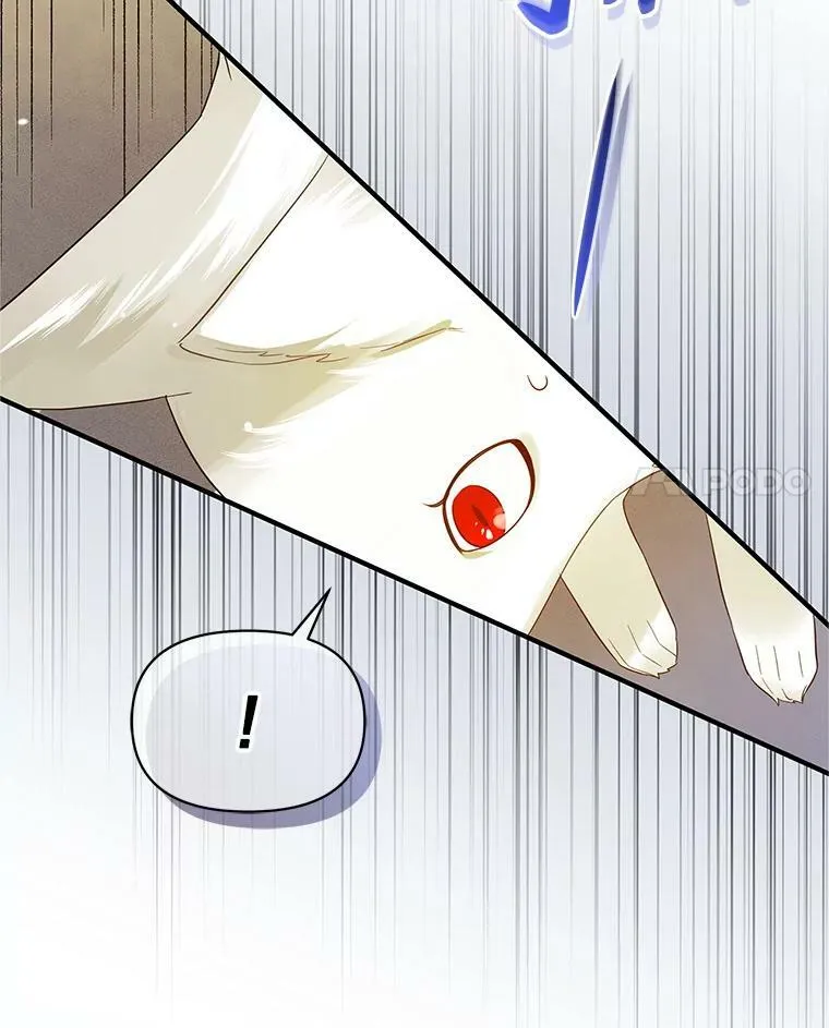 12.攻击11
