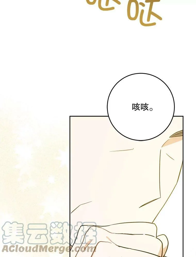25.我的书96