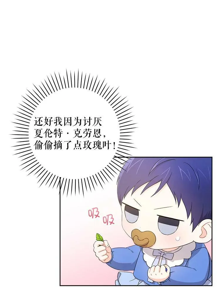 10.蟑螂11