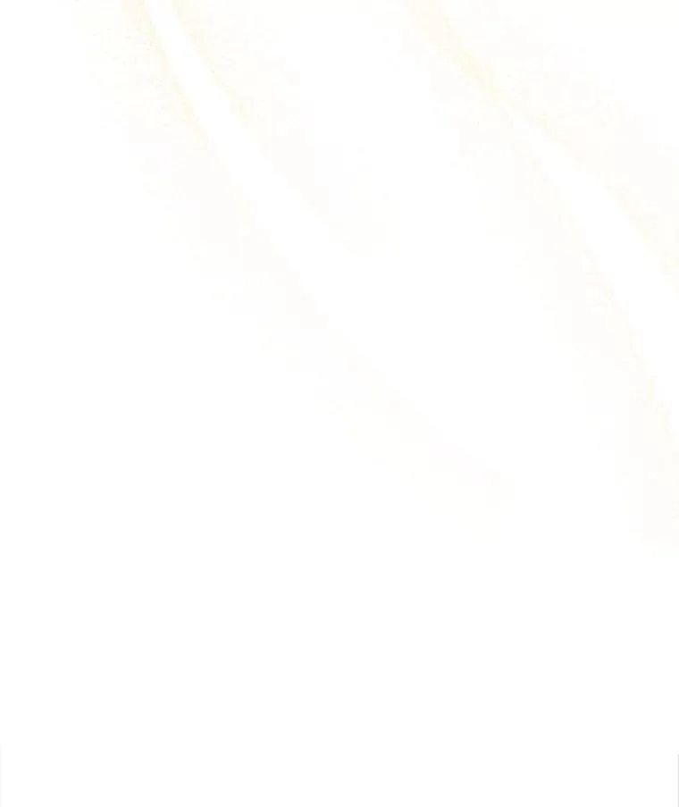 75.生日礼物93
