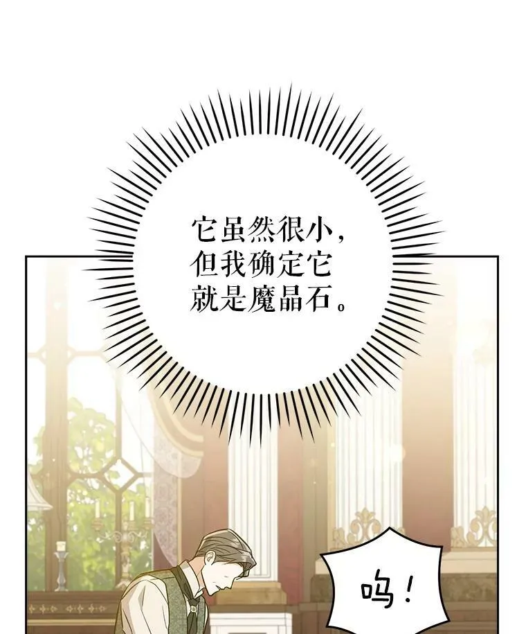 26.魔晶石10