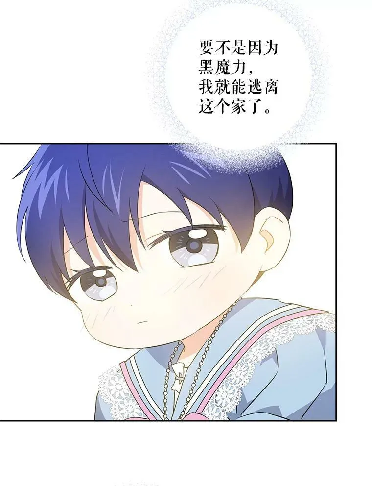38.收养102