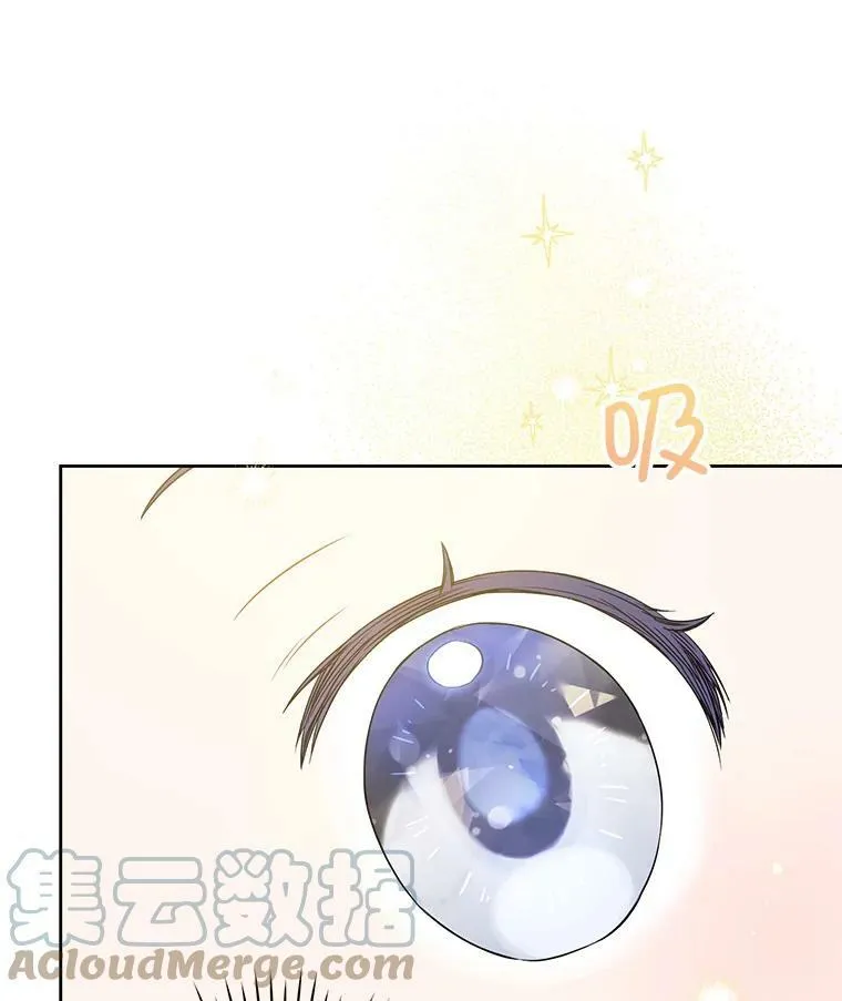 14.狗狗训练15