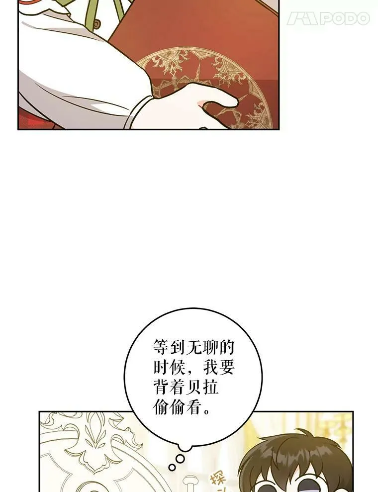 25.我的书17