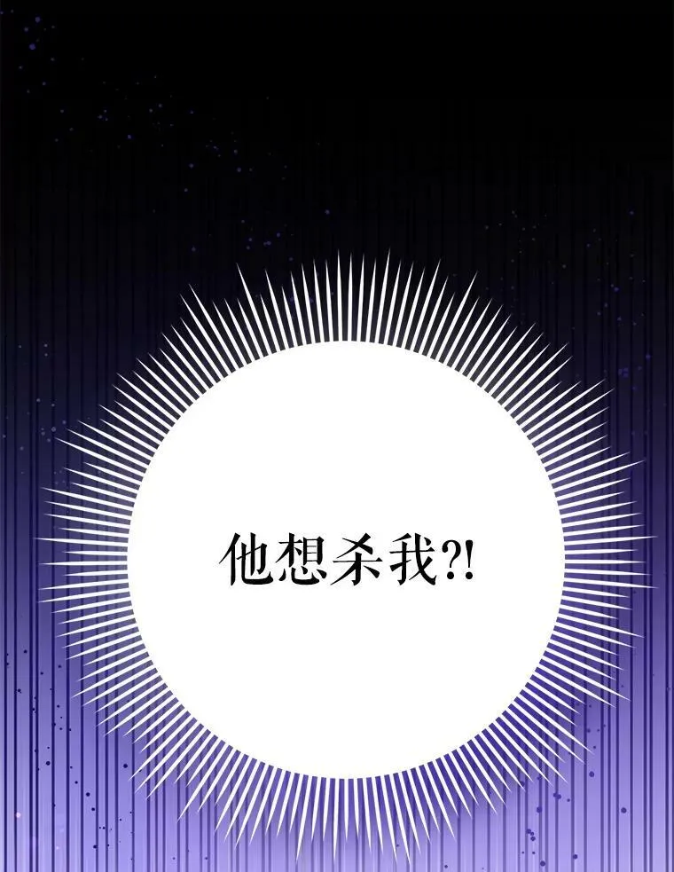 25.我的书113