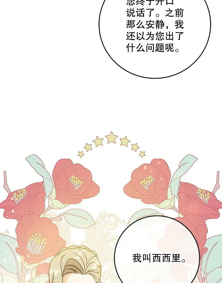 14.狗狗训练46